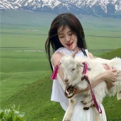 巴格达妙贼