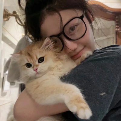 胡同猫